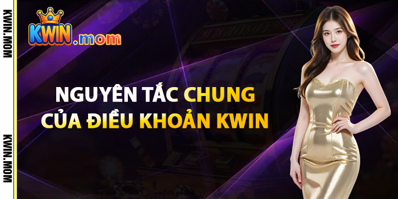 Nguyên Tắc Chung Của Điều Khoản Kwin